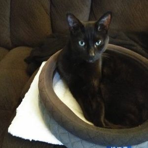 Meet your Posher, Patricia